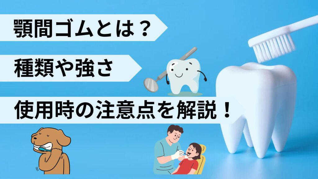 顎間ゴム　強さ　種類