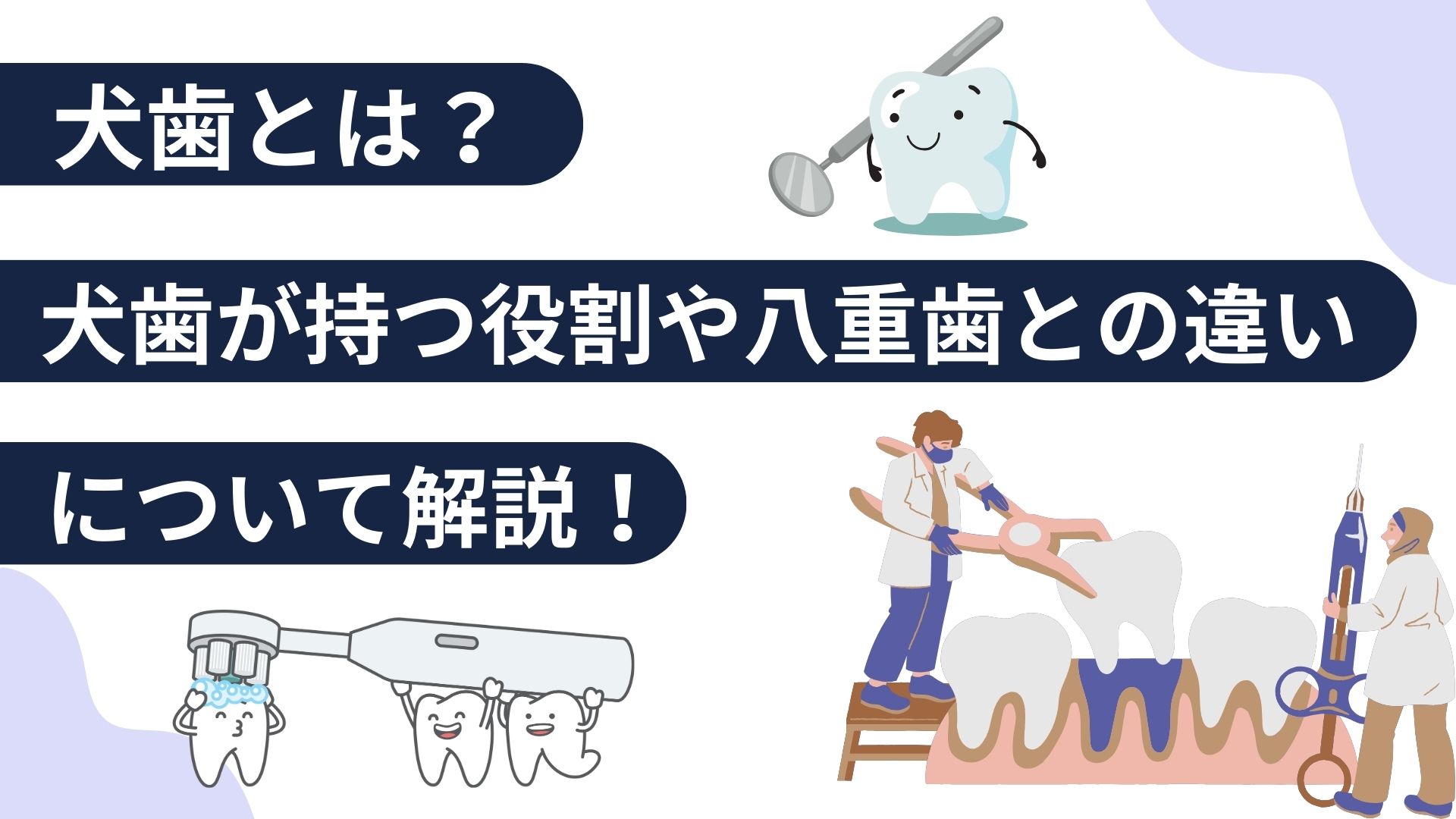 犬歯とは？　八重歯との違い